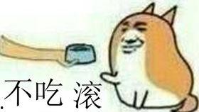 不敢吃的瓜娱乐圈,不敢吃的瓜，揭秘明星背后的惊人真相